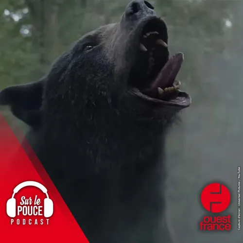 28 février 2023 - L'histoire vraie d'un ours avide de cocaïne