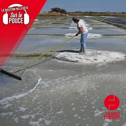 Comment le sel arrive dans la mer ?