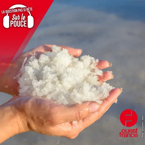 Pourquoi la mer et les océans sont-ils salés ?