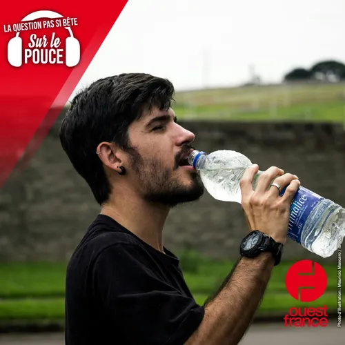 Quelle est la boisson la plus hydratante ?