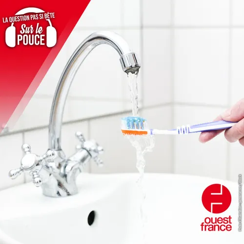 Doit-on mouiller sa brosse à dents avant ou après avoir mis le...
