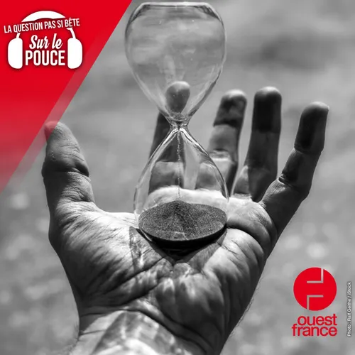 L’être humain pourra-t-il un jour devenir immortel ?