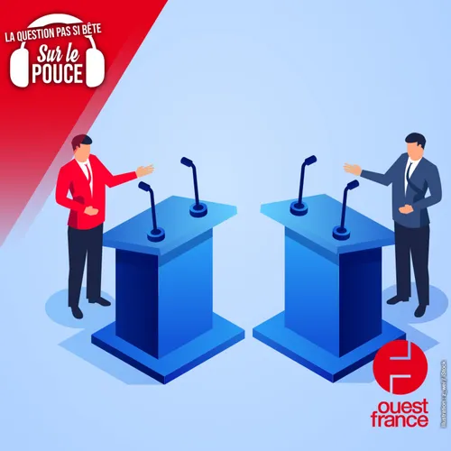 En France, pourquoi le rouge symbolise-t-il la gauche et le bleu la...
