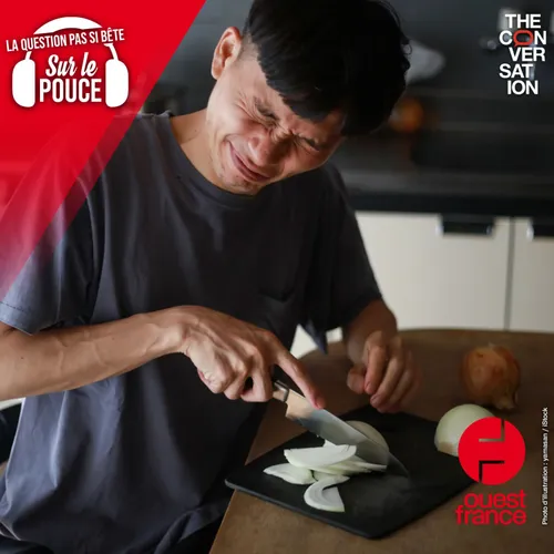 Pourquoi les oignons nous font-ils pleurer ?