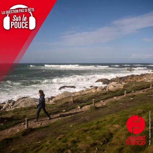 Pourquoi les hivers sont-ils si doux en Bretagne ?