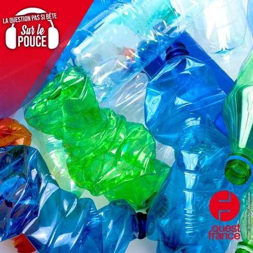 Est-ce une bonne chose d'écraser les bouteilles en plastique avant...