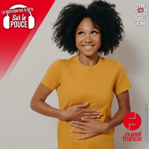 Pourquoi notre ventre gargouille-t-il ?