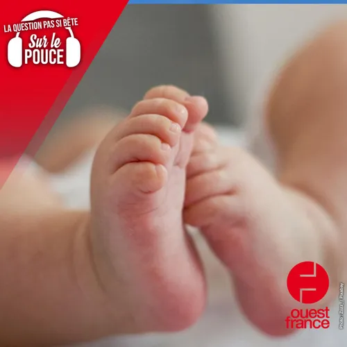 Qui est le plus beau gros bébé du monde ?