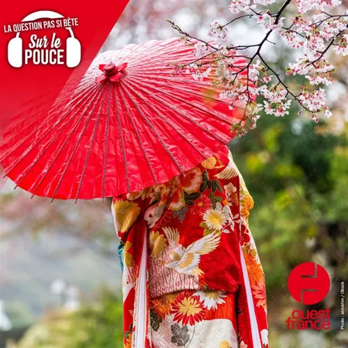 Pourquoi les Japonais utilisent-il des parapluies même quand il...