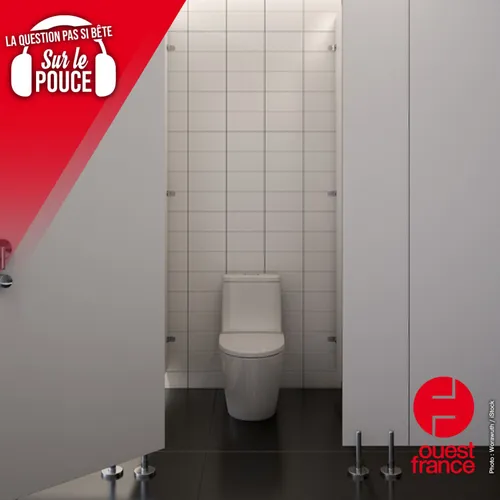 Peut-on attraper des infections en s’asseyant sur les toilettes...