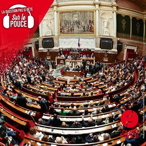 Pourquoi compte-t-on 577 députés ?
