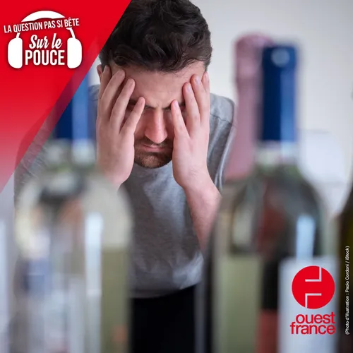 Comment survit-on à une gueule de bois ?