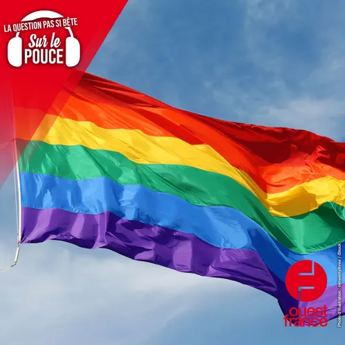 D’où vient l’arc-en-ciel du drapeau LGBTQIA+ ?