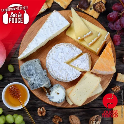 Quel est le lien entre les moines et le fromage ?