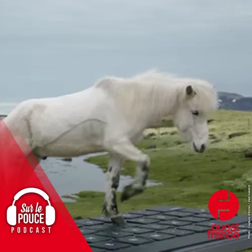 30 mai 2022 - Des chevaux répondent à vos mails pros pendant les...