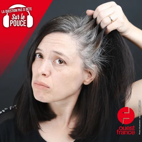 D'où viennent les cheveux gris ?