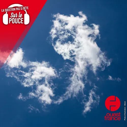 Pourquoi voit-on des formes dans les nuages ?