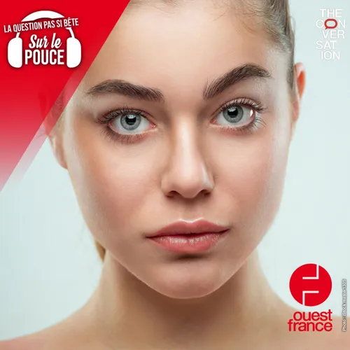 Pourquoi avons-nous des sourcils ?