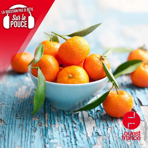 Quelle est la différence entre une mandarine et une clémentine ?