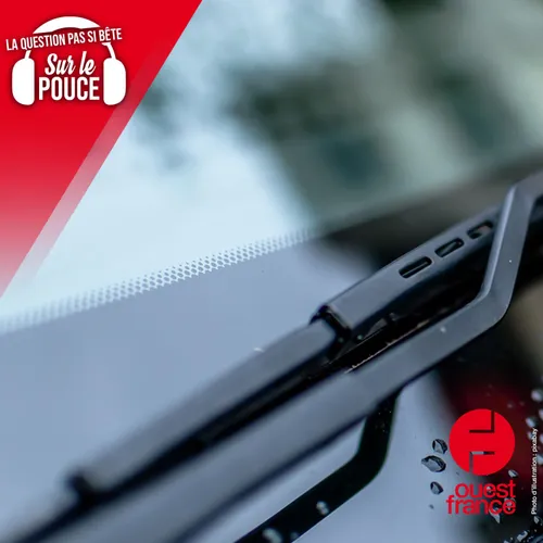 A quoi servent les points noirs sur les vitres des voitures ?