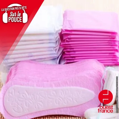 Comment faisaient nos ancêtres sans protection hygiénique ?