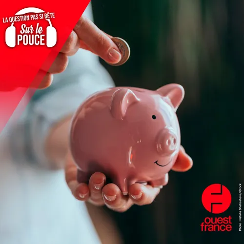 Pourquoi les tirelires ont-elles une forme de cochon ?