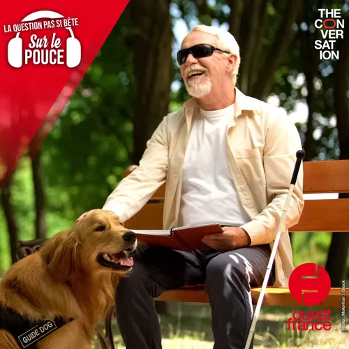 Une personne aveugle rêve-t-elle avec des images ?