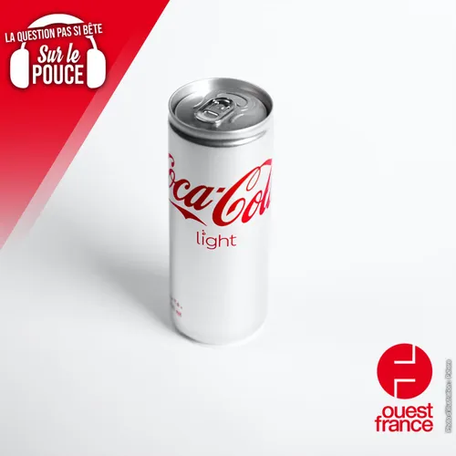 Pourquoi les hôtesses et stewards détestent-ils quand les passagers...