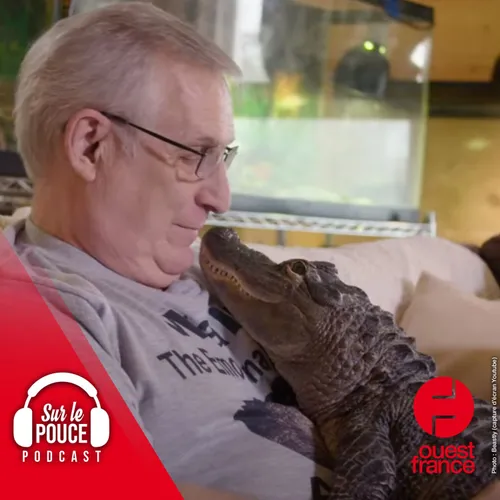 29 août 2022 - Un alligator pour animal de soutien émotionnel