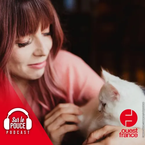 23 mars 2022 - Son chat meurt, elle le fait cloner