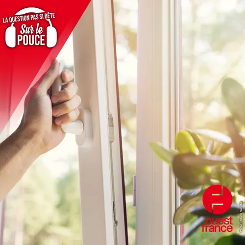 Peut-on profiter des bienfaits du soleil derrière une vitre ?