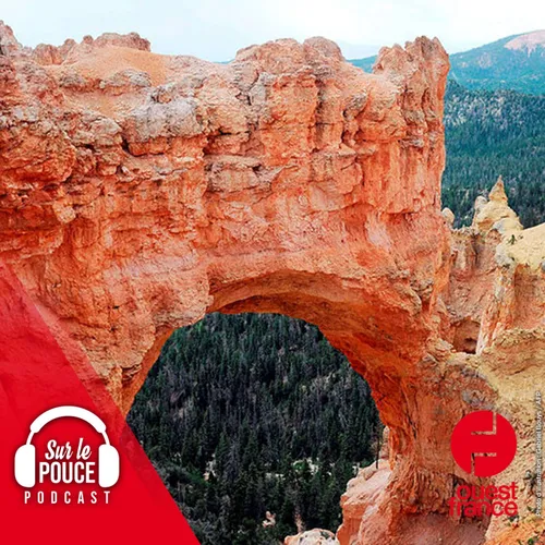 1er juillet 2022 - Une étrange épidémie frappe le Grand Canyon