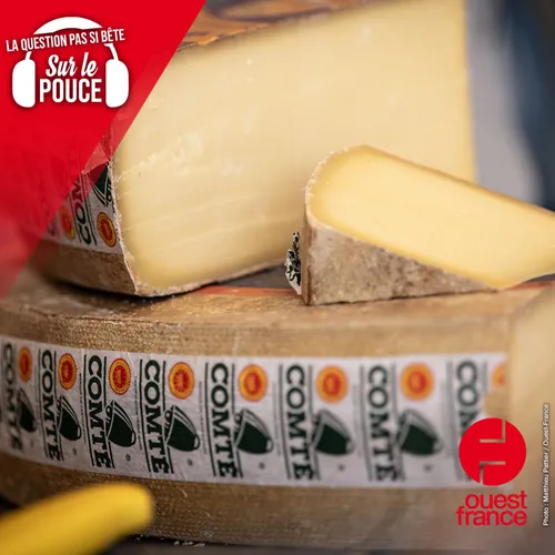 Quels sont les fromages que les femmes enceintes peuvent manger...