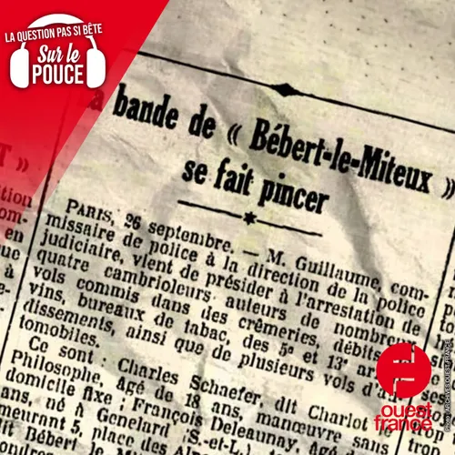 D'où viennent les surnoms des célèbres malfrats ?