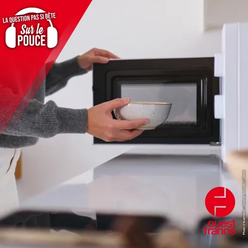 Pourquoi ne faut-il pas placer son plat au centre du micro-ondes ?
