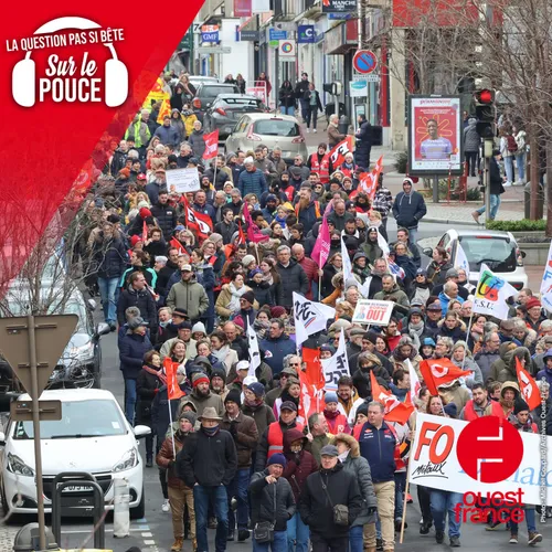 Pourquoi les manifestations ont-elles souvent lieu le mardi ou le...