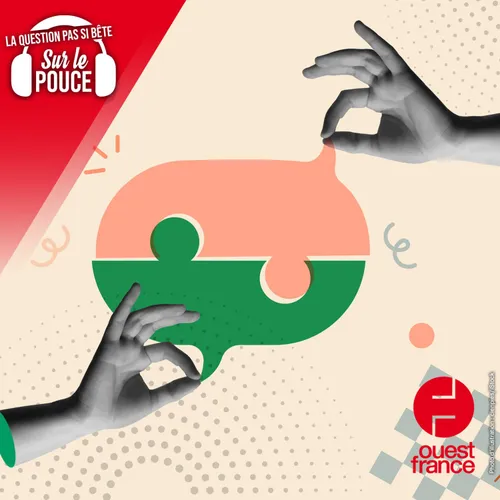 D'où vient le vouvoiement ?