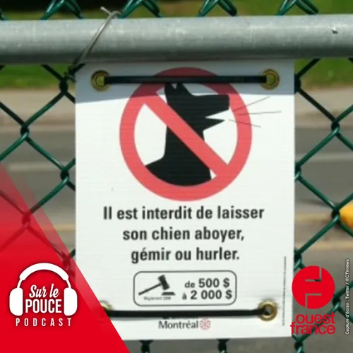 16 mai 2023 - Dans ce parc pour chiens, il est interdit d’aboyer