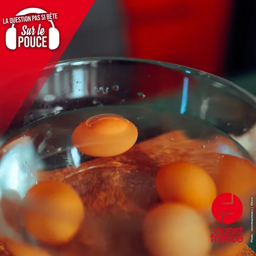 Pourquoi les œufs flottent-ils quand ils ne sont pas frais ?