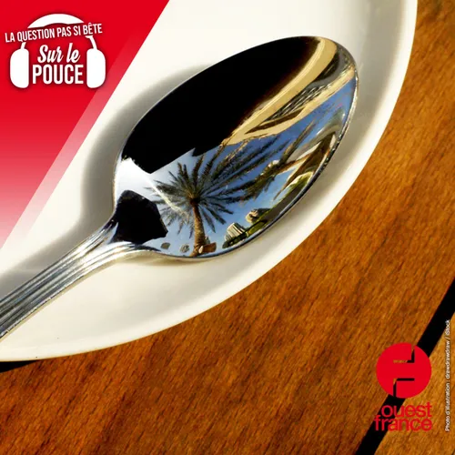 Pourquoi se voit-on à l’envers dans une cuillère ?