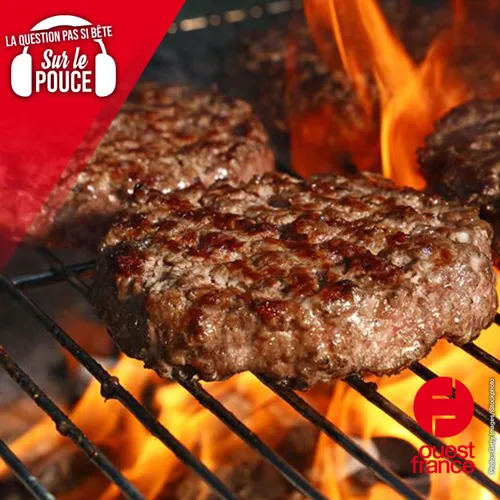 Depuis quand cuit-on les aliments ?