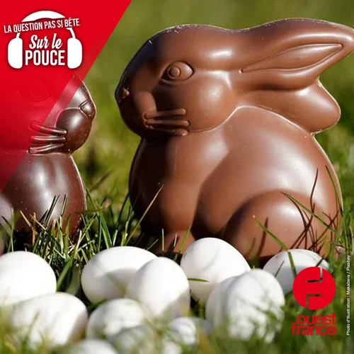 Comment recycler ses chocolats de Pâques ?