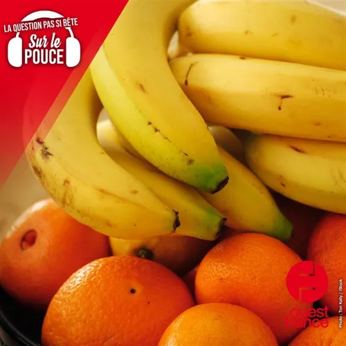 Pourquoi certains fruits sont-ils boudés par les personnes véganes ?