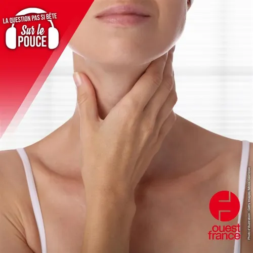 À quoi sert la thyroïde ?