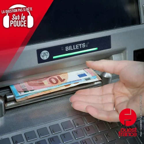 Pourquoi il n'existe pas une monnaie universelle ?