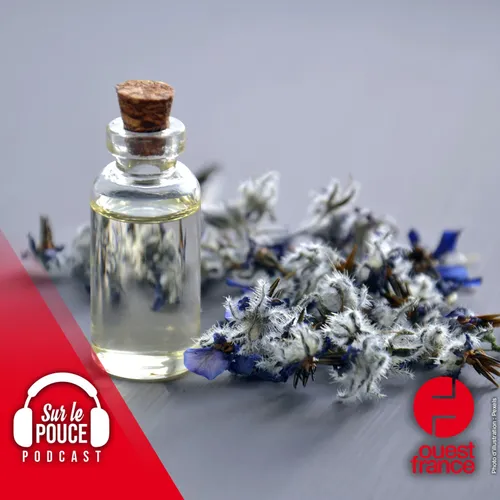 28 septembre 2022 - Ils recréent le plus vieux parfum du monde -...