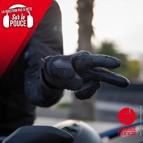 Parlez-vous la langue des motards ?