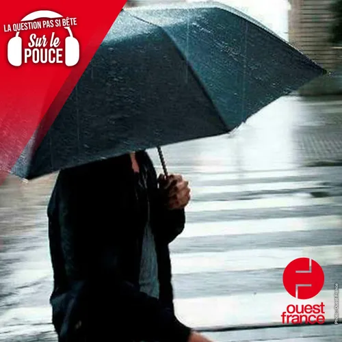 Pourquoi avons-nous plus froid lorsque le taux d'humidité est élevé ?