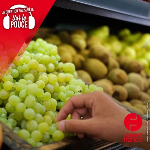 Peut-on grignoter dans les supermarchés ?