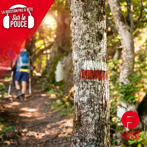 Qui crée et entretient les chemins de randonnée ?